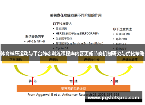 体育减压运动与平台静态训练课程库内容更新节奏机制研究与优化策略